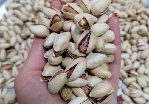 تصویر 2 از قیمت پسته احمد آقایی خام + خرید باور نکردنی